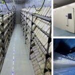 【話題】新聞オフ輪工場できくらげを栽培