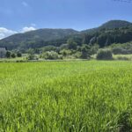 印刷会社の四ヶ所、農業に取り組む