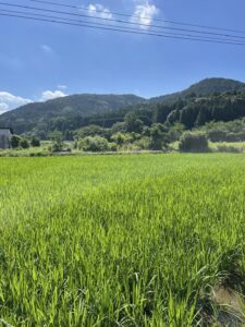 印刷会社の四ヶ所、農業に取り組む