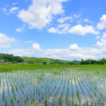 【2025年印刷業界10大ニュース⑥】地域活性化ビジネスが各地で展開