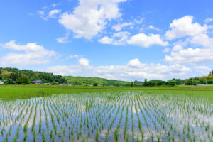 【2025年印刷業界10大ニュース⑥】地域活性化ビジネスが各地で展開