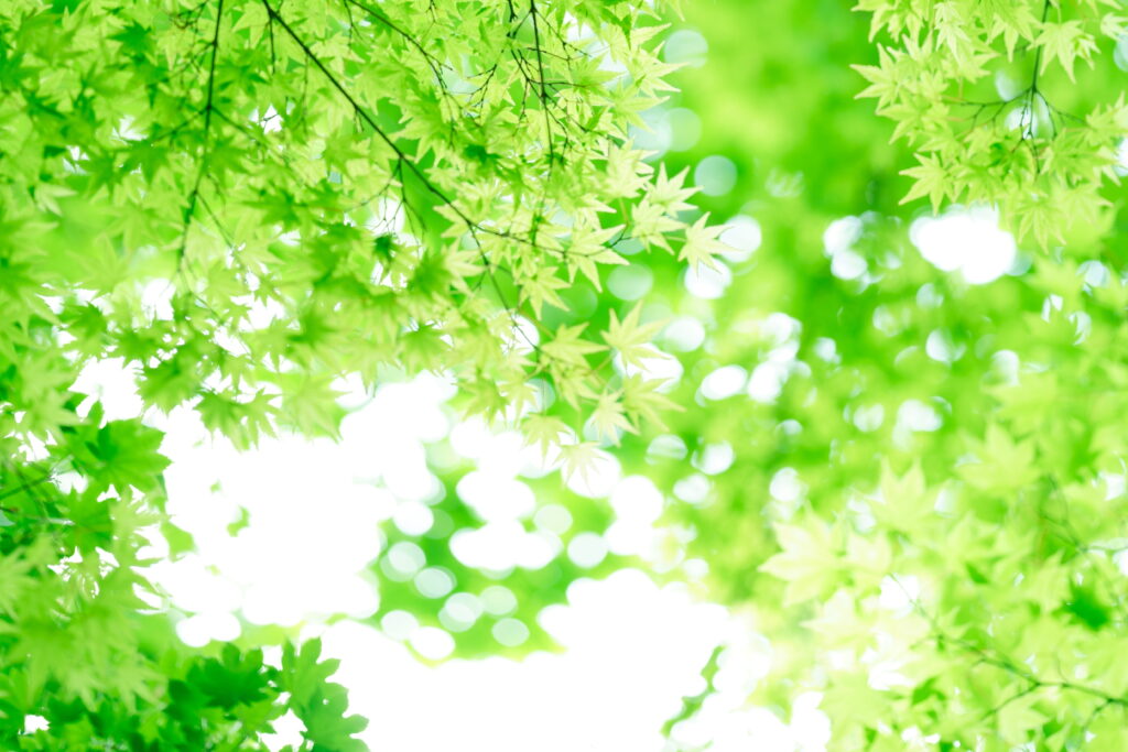 コラム「清風」001：出版業界の光明