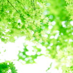 コラム「清風」